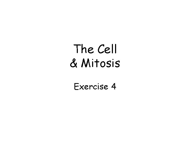 The Cell & Mitosis Exercise 4 