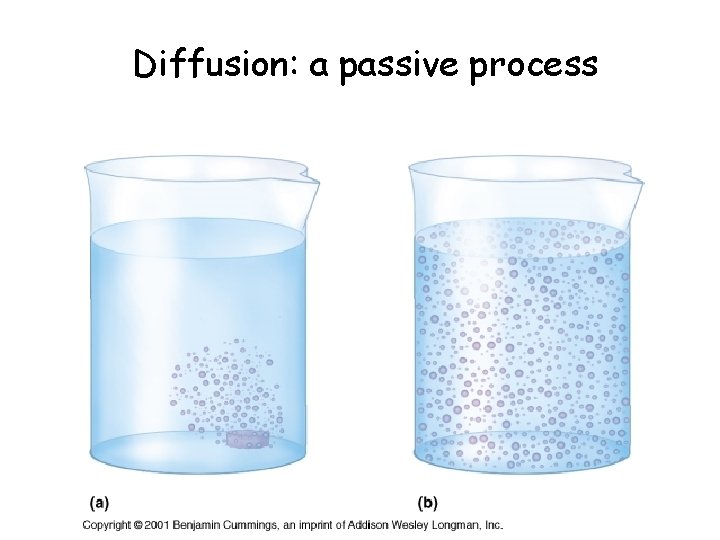 Diffusion: a passive process 