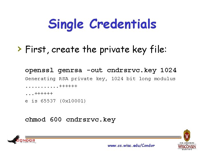 Single Credentials › First, create the private key file: openssl genrsa -out cndrsrvc. key