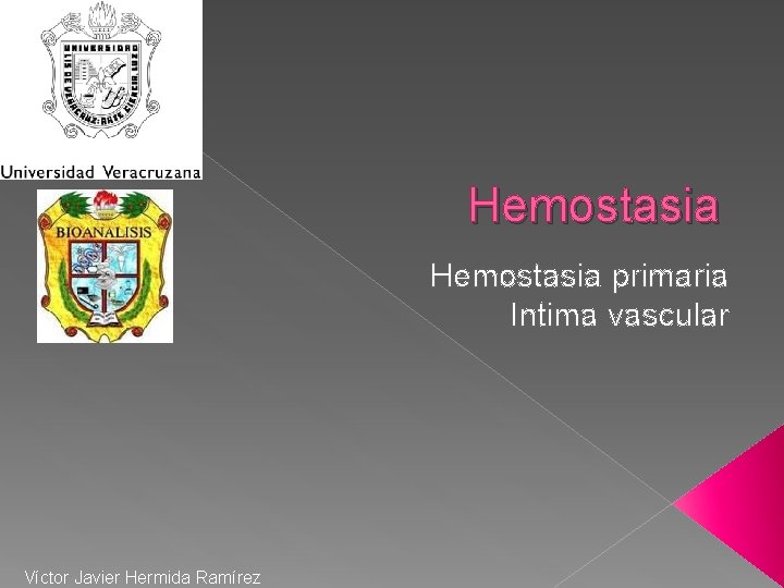Hemostasia primaria Intima vascular Víctor Javier Hermida Ramírez 