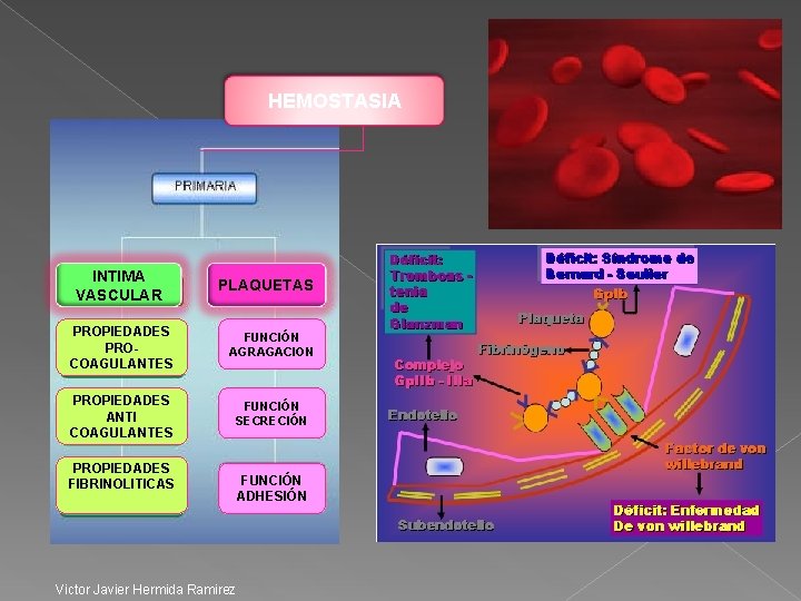 HEMOSTASIA INTIMA VASCULAR PLAQUETAS PROPIEDADES PROCOAGULANTES FUNCIÓN AGRAGACION PROPIEDADES ANTI COAGULANTES FUNCIÓN SECRECIÓN PROPIEDADES