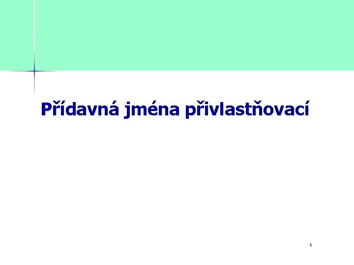 Přídavná jména přivlastňovací 1 