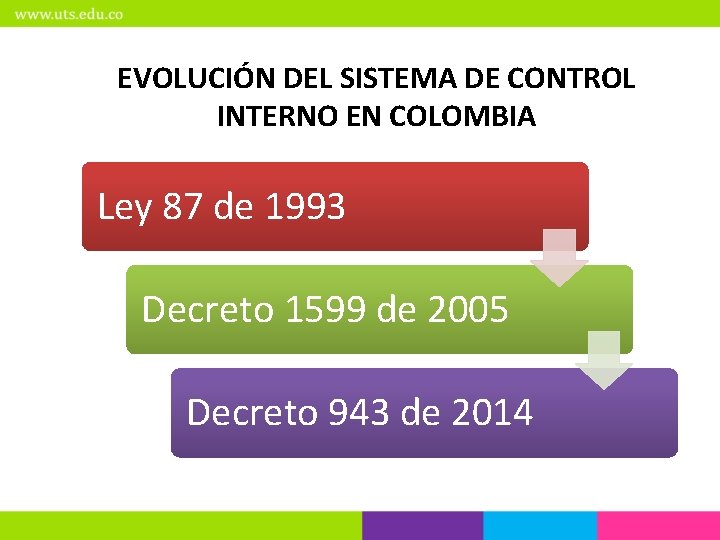 EVOLUCIÓN DEL SISTEMA DE CONTROL INTERNO EN COLOMBIA Ley 87 de 1993 Decreto 1599