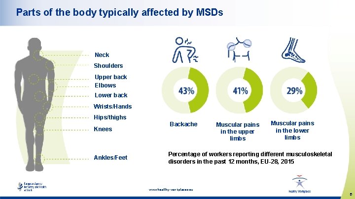 Parts of the body typically affected by MSDs Neck Shoulders Upper back Elbows Lower