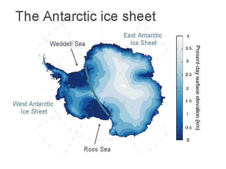 The Antarctic ice sheet Weddell Sea West Antarctic Ice Sheet Ross Sea East Antarctic