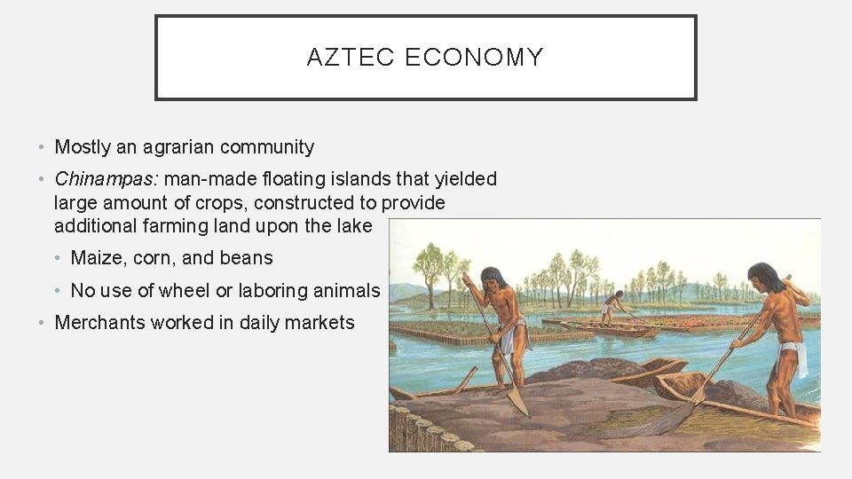 AZTEC ECONOMY • Mostly an agrarian community • Chinampas: man-made floating islands that yielded