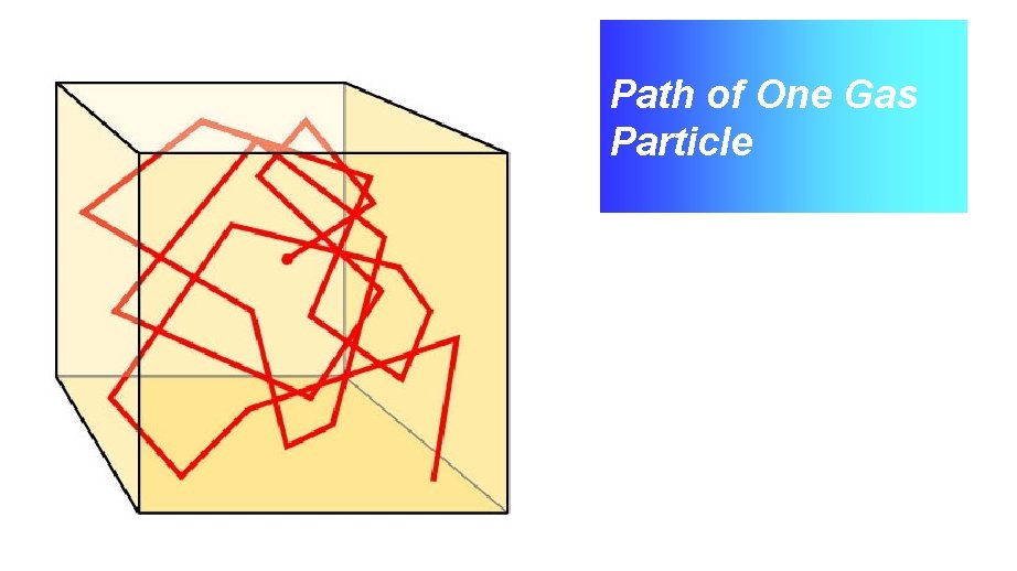 Path of One Gas Particle 