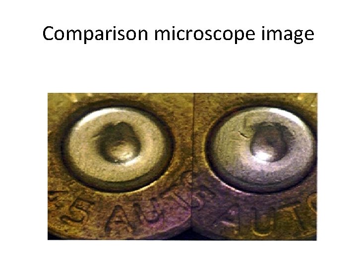 Comparison microscope image 