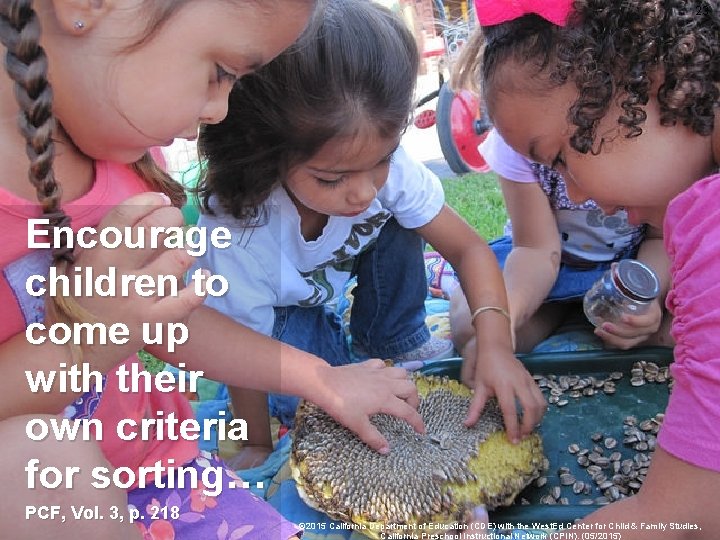 23 Criteria for Sorting Encourage children to come up with their own criteria for