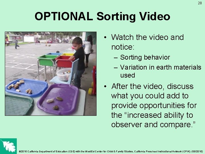 28 OPTIONAL Sorting Video • Watch the video and notice: – Sorting behavior –