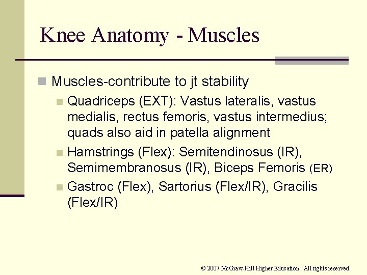 Knee Anatomy - Muscles n Muscles-contribute to jt stability n Quadriceps (EXT): Vastus lateralis,