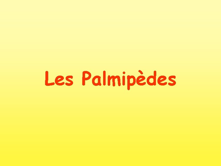 Les Palmipèdes 