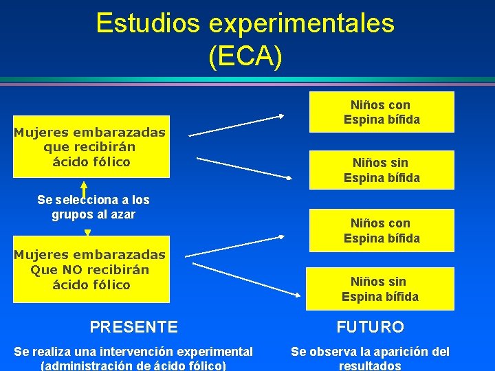 Estudios experimentales (ECA) Mujeres embarazadas que recibirán ácido fólico Se selecciona a los grupos