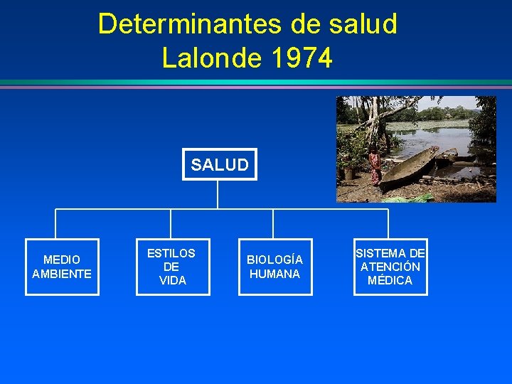 Determinantes de salud Lalonde 1974 SALUD MEDIO AMBIENTE ESTILOS DE VIDA BIOLOGÍA HUMANA SISTEMA