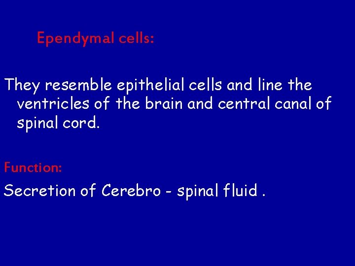 Ependymal cells: They resemble epithelial cells and line the ventricles of the brain and