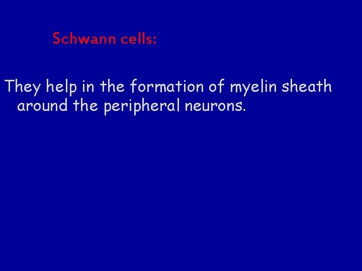 Schwann cells: They help in the formation of myelin sheath around the peripheral neurons.