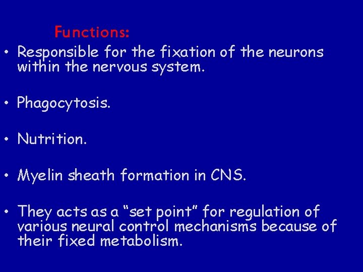 Functions: • Responsible for the fixation of the neurons within the nervous system. •