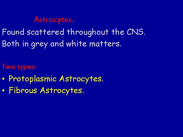 Astrocytes. Found scattered throughout the CNS. Both in grey and white matters. Two types: