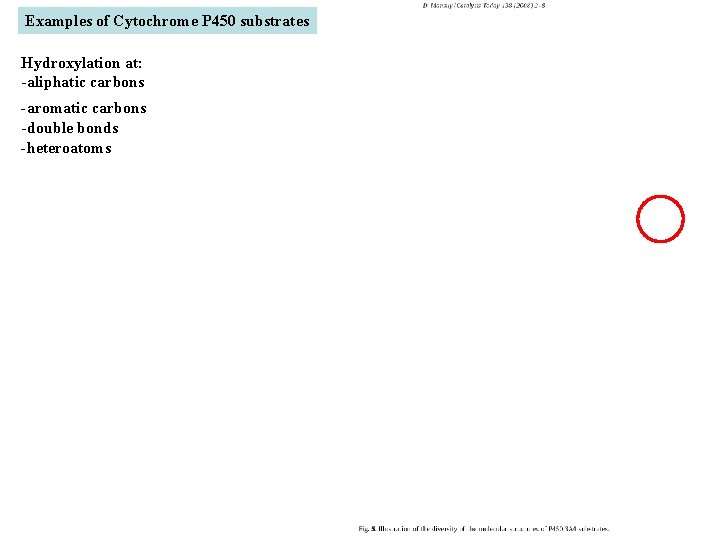 Examples of Cytochrome P 450 substrates Hydroxylation at: -aliphatic carbons -aromatic carbons -double bonds