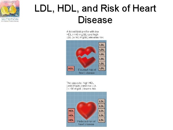 LDL, HDL, and Risk of Heart Disease 