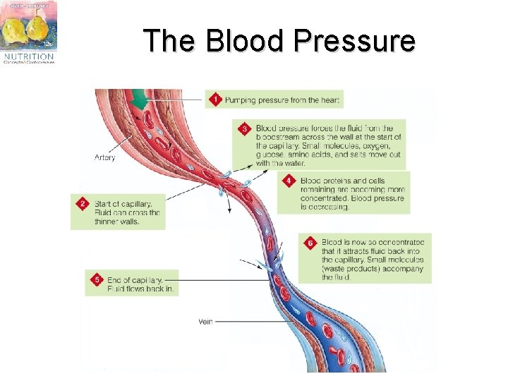 The Blood Pressure 