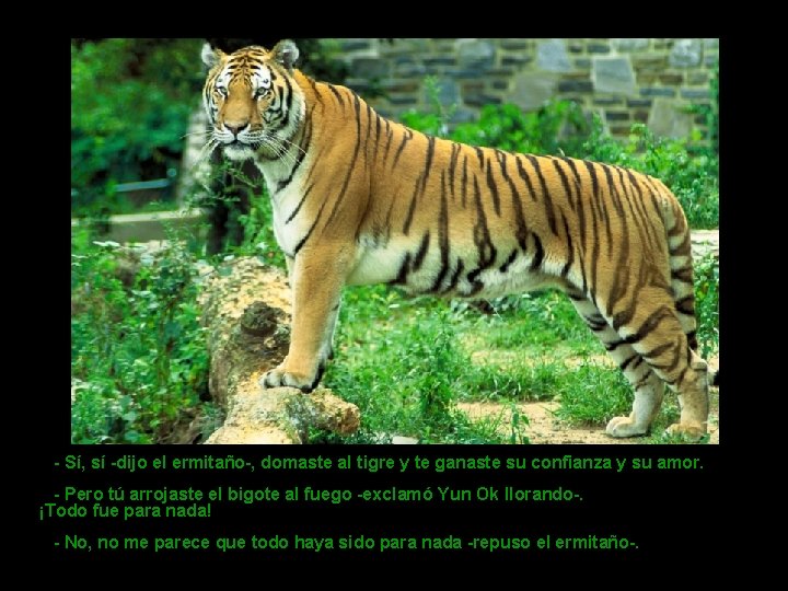  - Sí, sí -dijo el ermitaño-, domaste al tigre y te ganaste su
