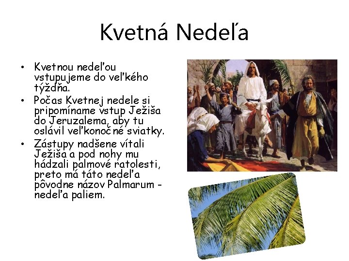 Kvetná Nedeľa • Kvetnou nedeľou vstupujeme do veľkého týždňa. • Počas Kvetnej nedele si