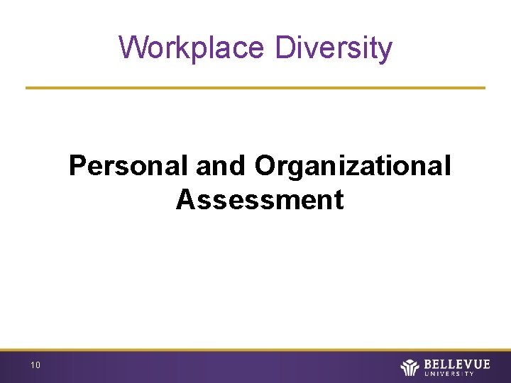 Workplace Diversity Personal and Organizational Assessment 10 