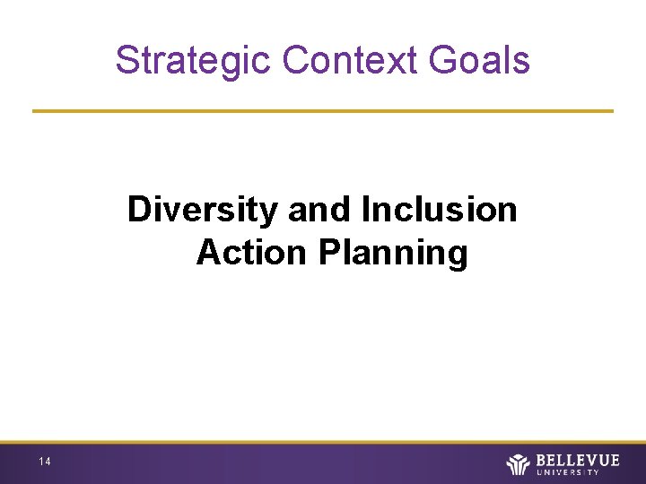 Strategic Context Goals Diversity and Inclusion Action Planning 14 