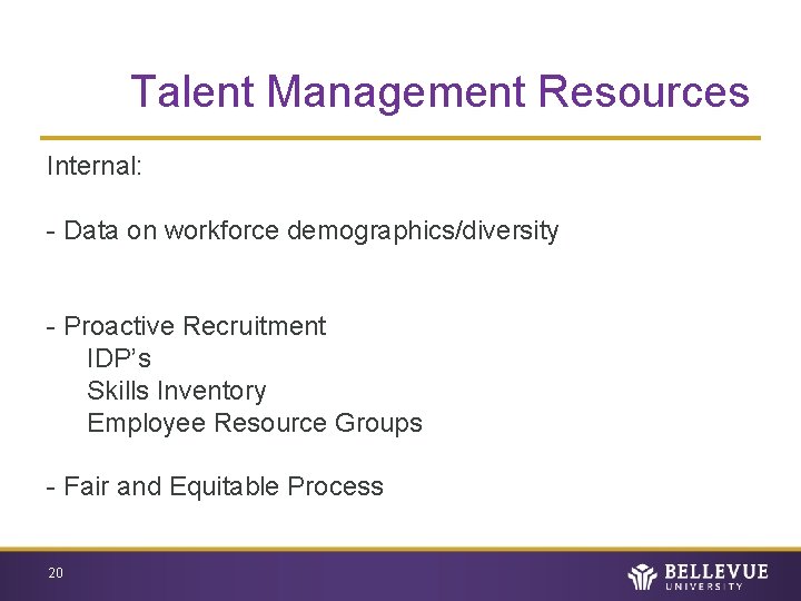 Talent Management Resources Internal: - Data on workforce demographics/diversity - Proactive Recruitment IDP’s Skills