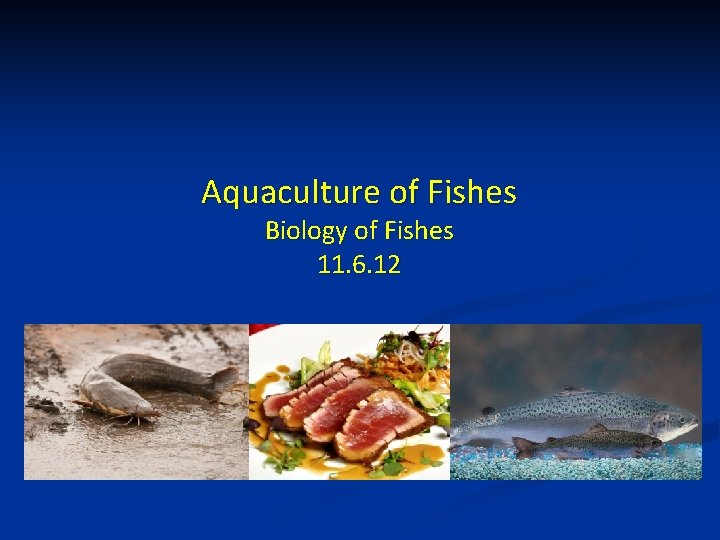 Aquaculture of Fishes Biology of Fishes 11. 6. 12 