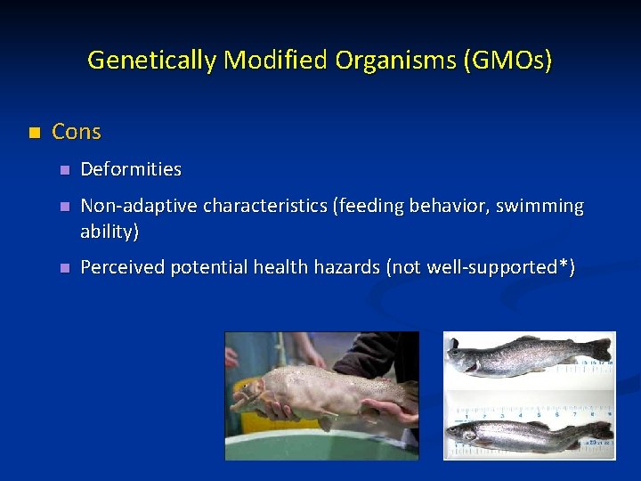 Aquaculture of Fishes Biology of Fishes 11 6