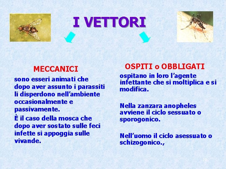 I VETTORI MECCANICI sono esseri animati che dopo aver assunto i parassiti li disperdono