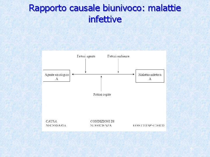 Rapporto causale biunivoco: malattie infettive 4 