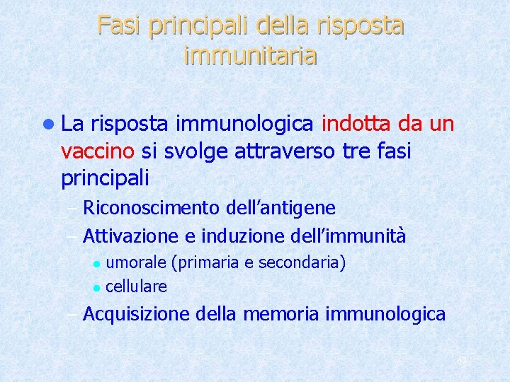 Fasi principali della risposta immunitaria l La risposta immunologica indotta da un vaccino si