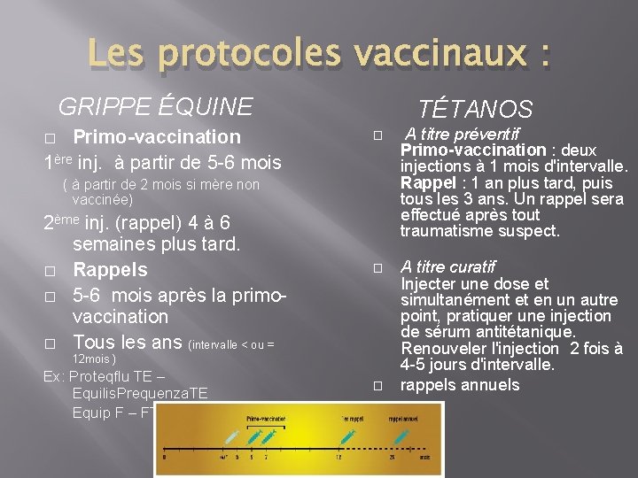 Les protocoles vaccinaux : GRIPPE ÉQUINE Primo-vaccination 1ère inj. à partir de 5 -6