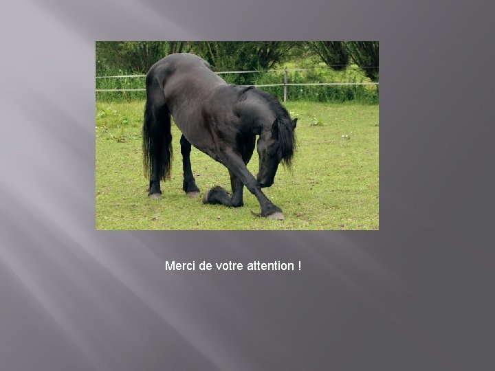 Merci de votre attention ! 