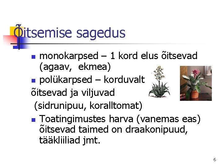 Õitsemise sagedus monokarpsed – 1 kord elus õitsevad (agaav, ekmea) n polükarpsed – korduvalt