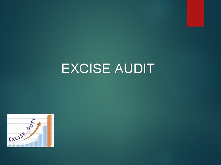  EXCISE AUDIT 