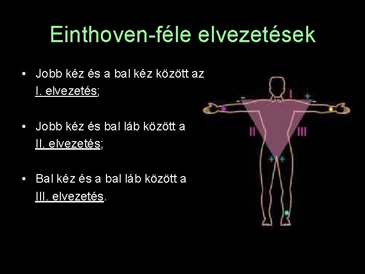 Einthoven-féle elvezetések • Jobb kéz és a bal kéz között az I. elvezetés; •