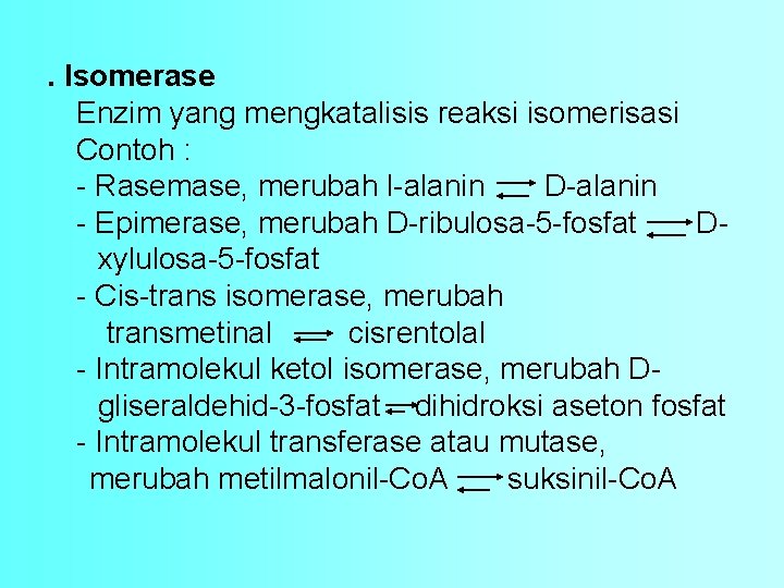 . Isomerase Enzim yang mengkatalisis reaksi isomerisasi Contoh : - Rasemase, merubah l-alanin D-alanin