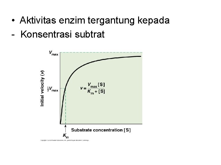  • Aktivitas enzim tergantung kepada - Konsentrasi subtrat 