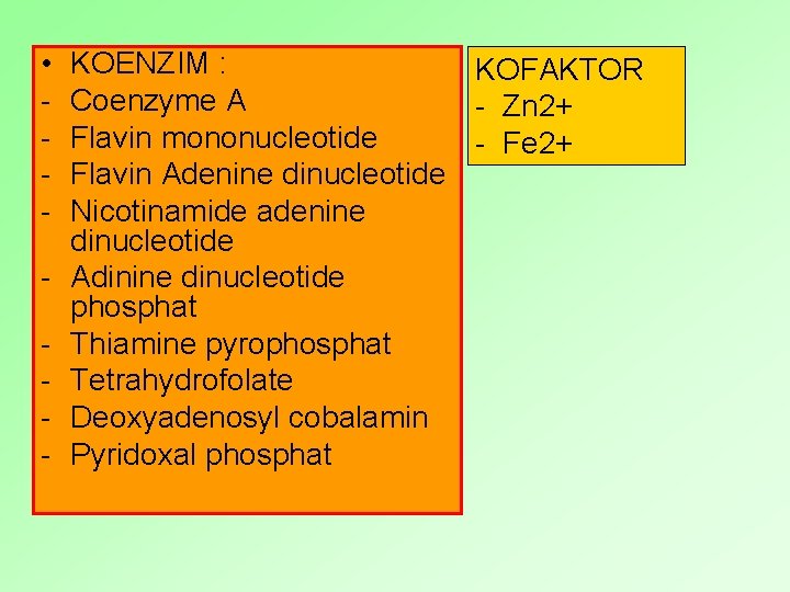  • - KOENZIM : KOFAKTOR Coenzyme A - Zn 2+ Flavin mononucleotide -