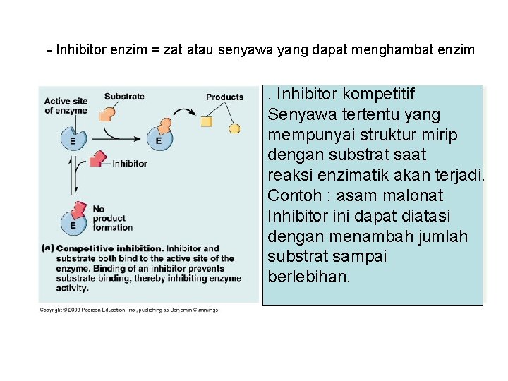 - Inhibitor enzim = zat atau senyawa yang dapat menghambat enzim . Inhibitor kompetitif