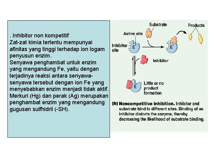 . Inhibitor non kompetitif Zat-zat kimia tertentu mempunyai afinitas yang tinggi terhadap ion logam