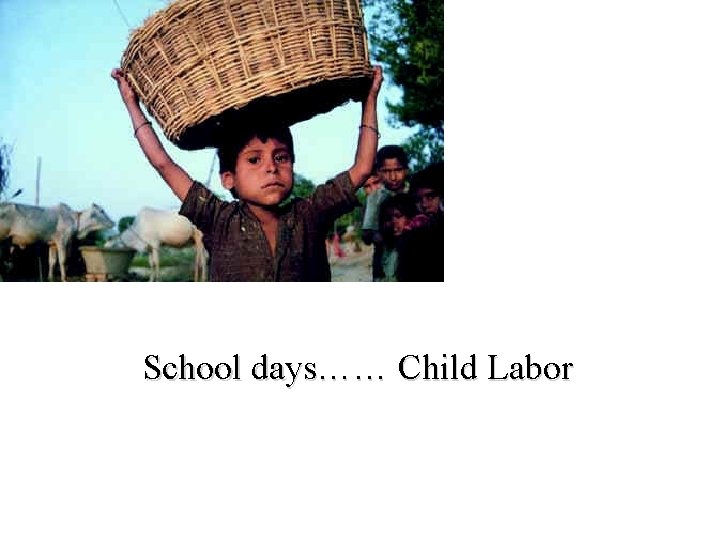 School days…… Child Labor 