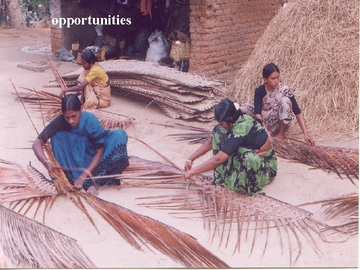 opportunities 