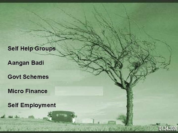 Self Help Groups Aangan Badi Govt Schemes Micro Finance Self Employment 
