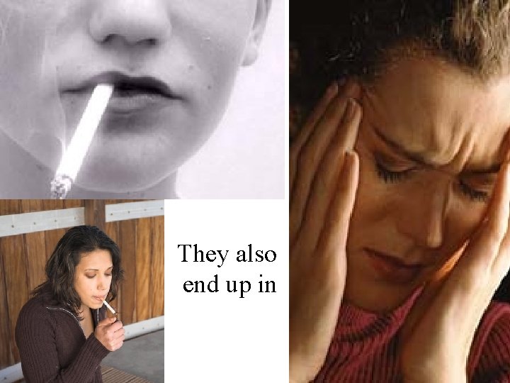 They also end up in 