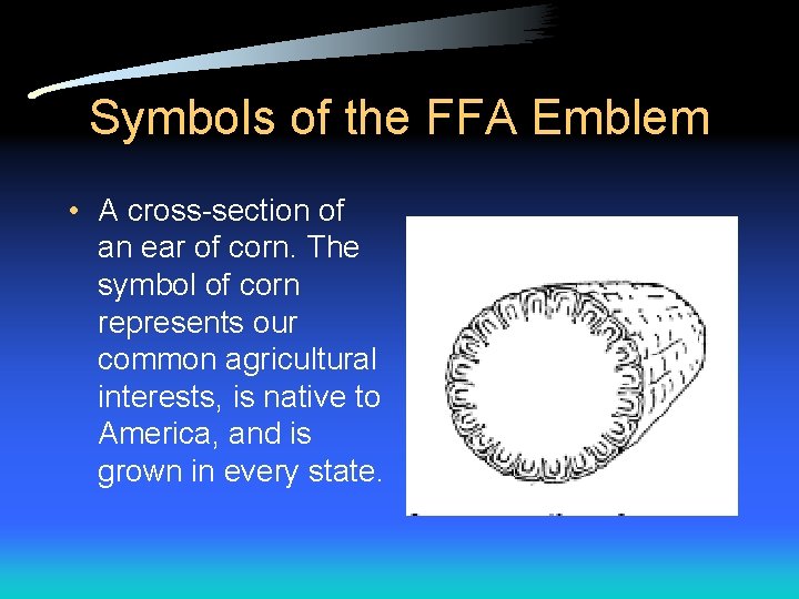 Symbols of the FFA Emblem • A cross-section of an ear of corn. The